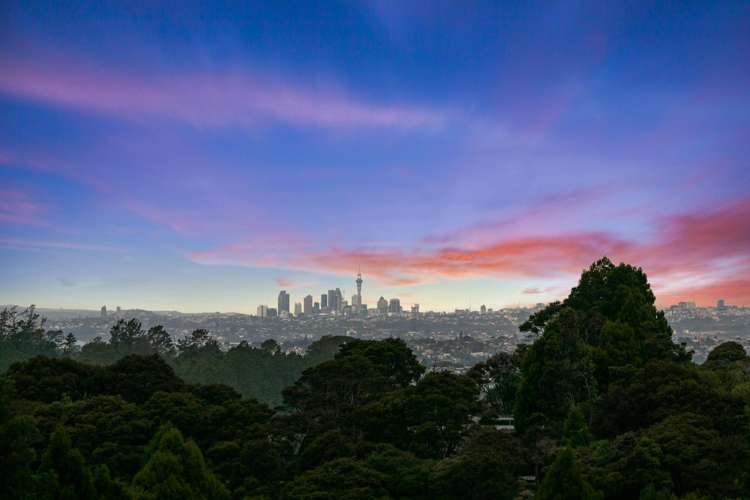 91 Mountain Road Henderson Valley_23