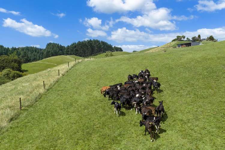 54 Kentucky Road Karapiro_35