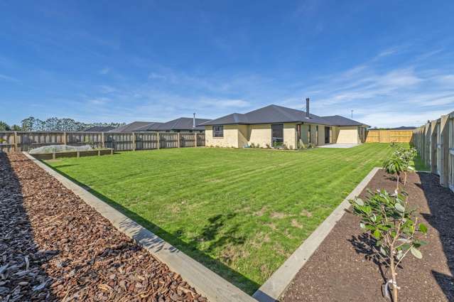 Stylish & Move-In Ready