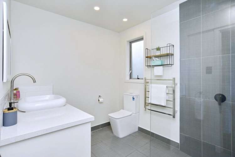 15 Hargest Crescent Sydenham_12