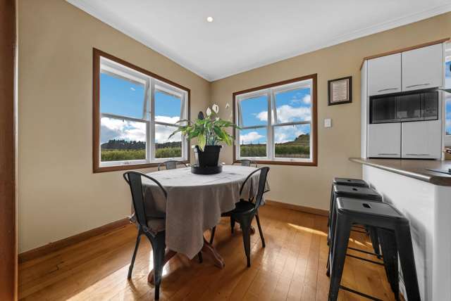 612 Harrisville Road Pukekohe East_4