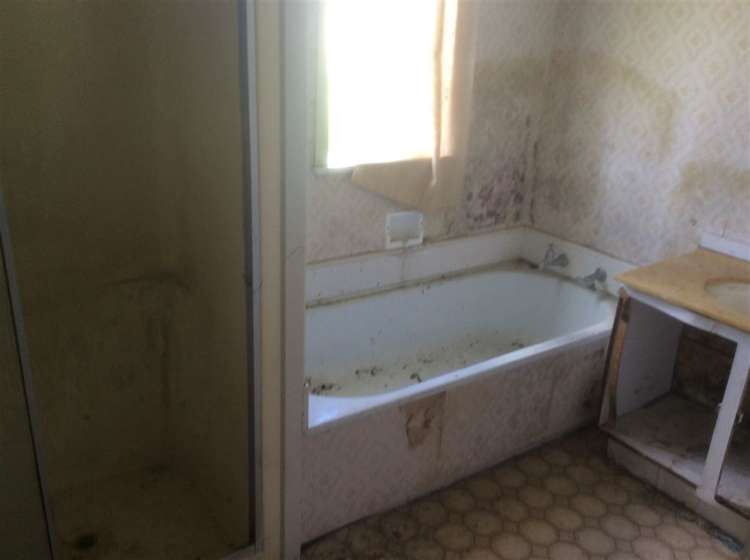 8 Kiwi Street Piopio_16