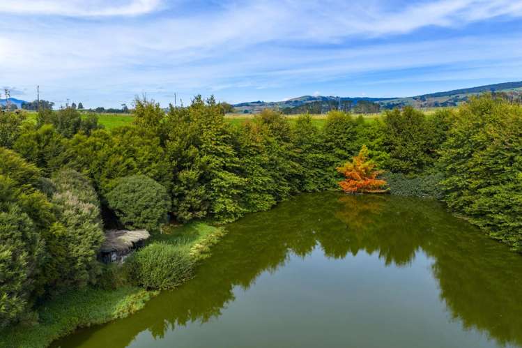 18 Hodgson Road Te Pahu_30