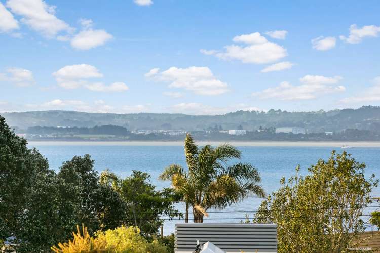 40 Sunny Brae Crescent Westmere_14