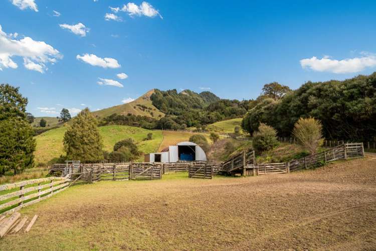 231 Leitch Road Piopio_24