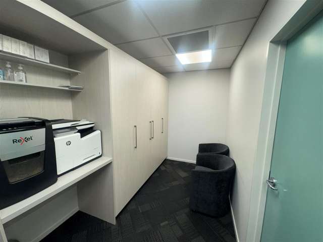 3 Ely Avenue Remuera_4