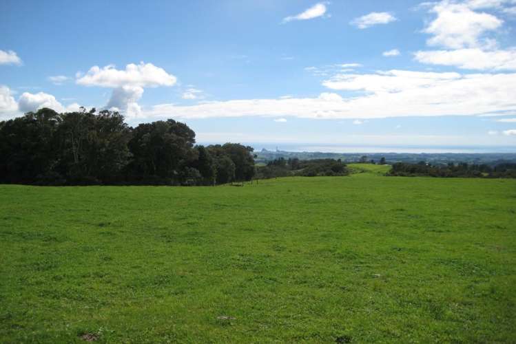 1113 Plymouth Road Koru_5