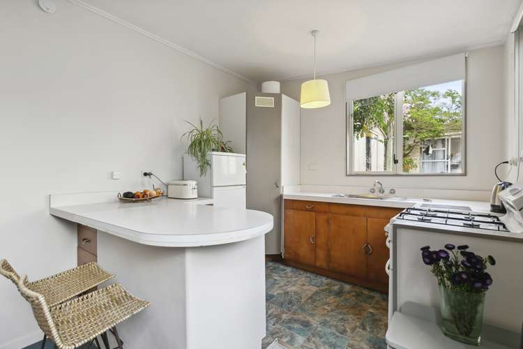 66 Elizabeth Street Mount Victoria_9