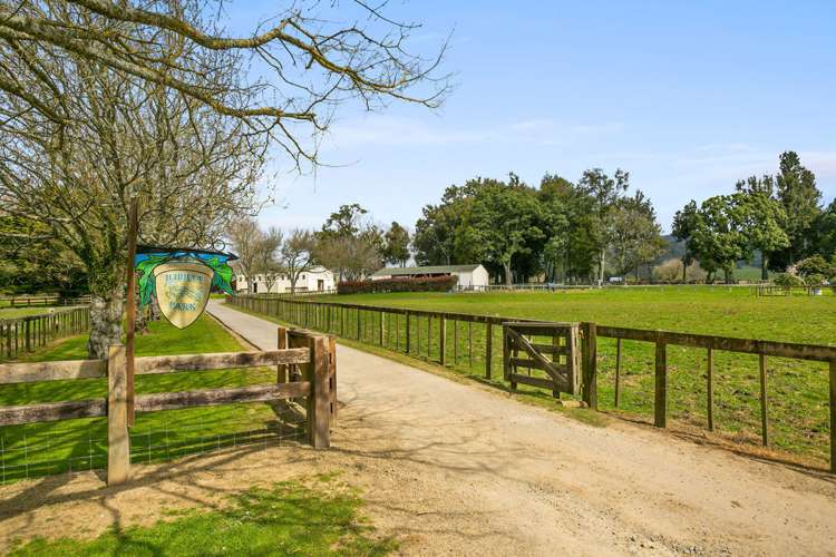 2/295 Roberts Road Cambridge_6