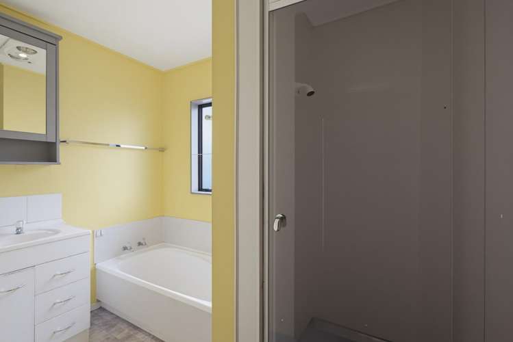 23 Douglas Street Levin_31