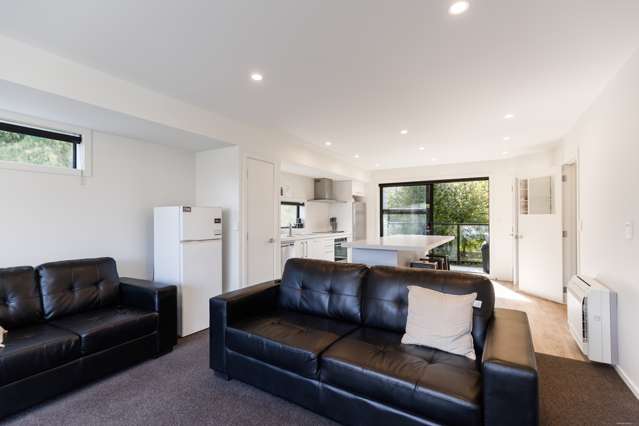 39 Sawmill Road Queenstown_4