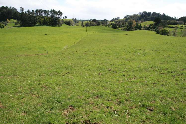 688 Junction Road Burgess Park_32