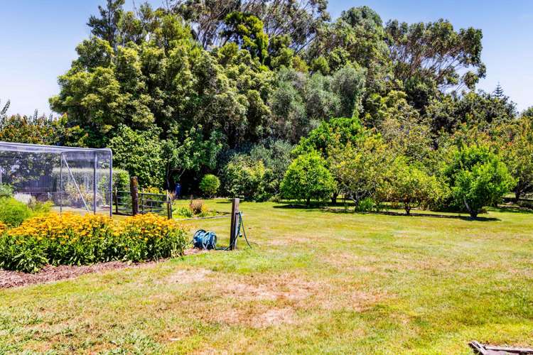 76 Wills Road Bell Block_42