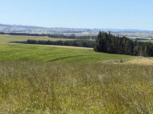 675 Black Bridge Road Ashley Downs_2