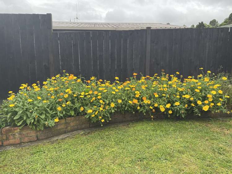 78 Sinclair Terrace Te Awamutu_25