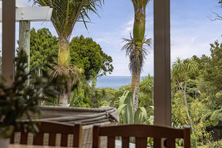 16 La Trobe Track Karekare_6