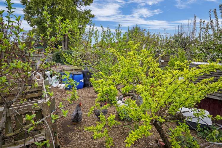 113 Sullivan Avenue Woolston_21