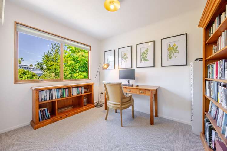 17 Roslyn Road Bluff Hill_10