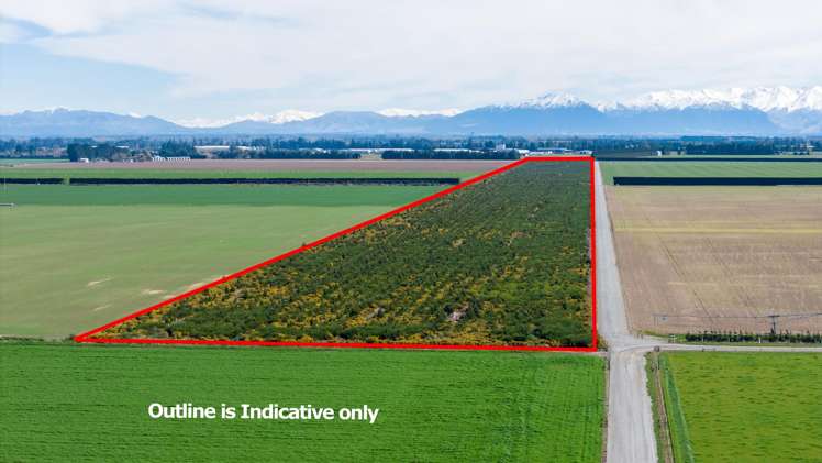 Company Road Ashburton_1