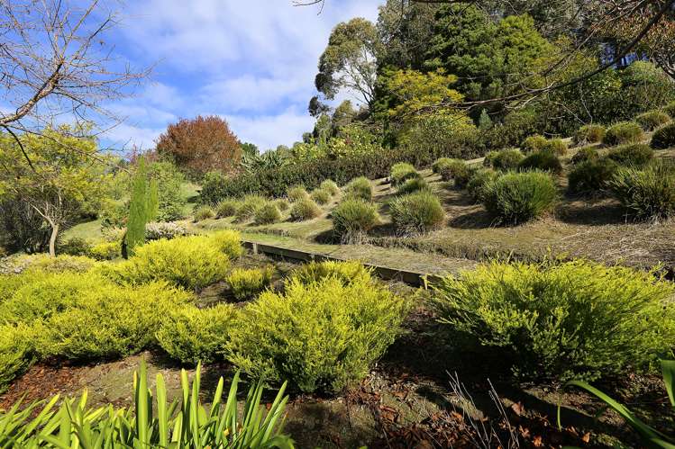 114 Kent Terrace Taradale_24