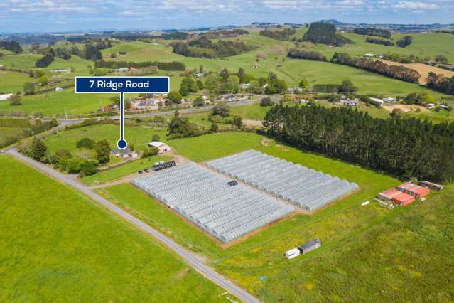 7 Ridge Road Tuakau_2