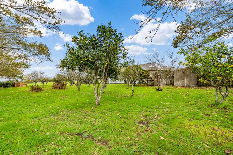 1448 Mangakahia Road Titoki_32