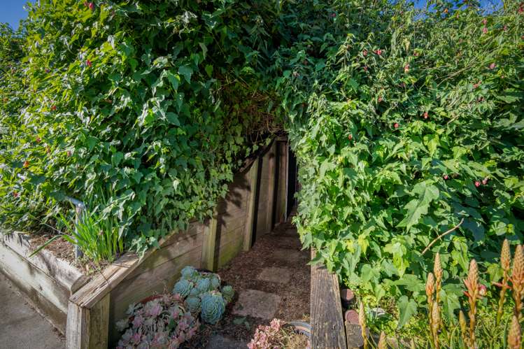 362 Koromatua Road Temple View_22