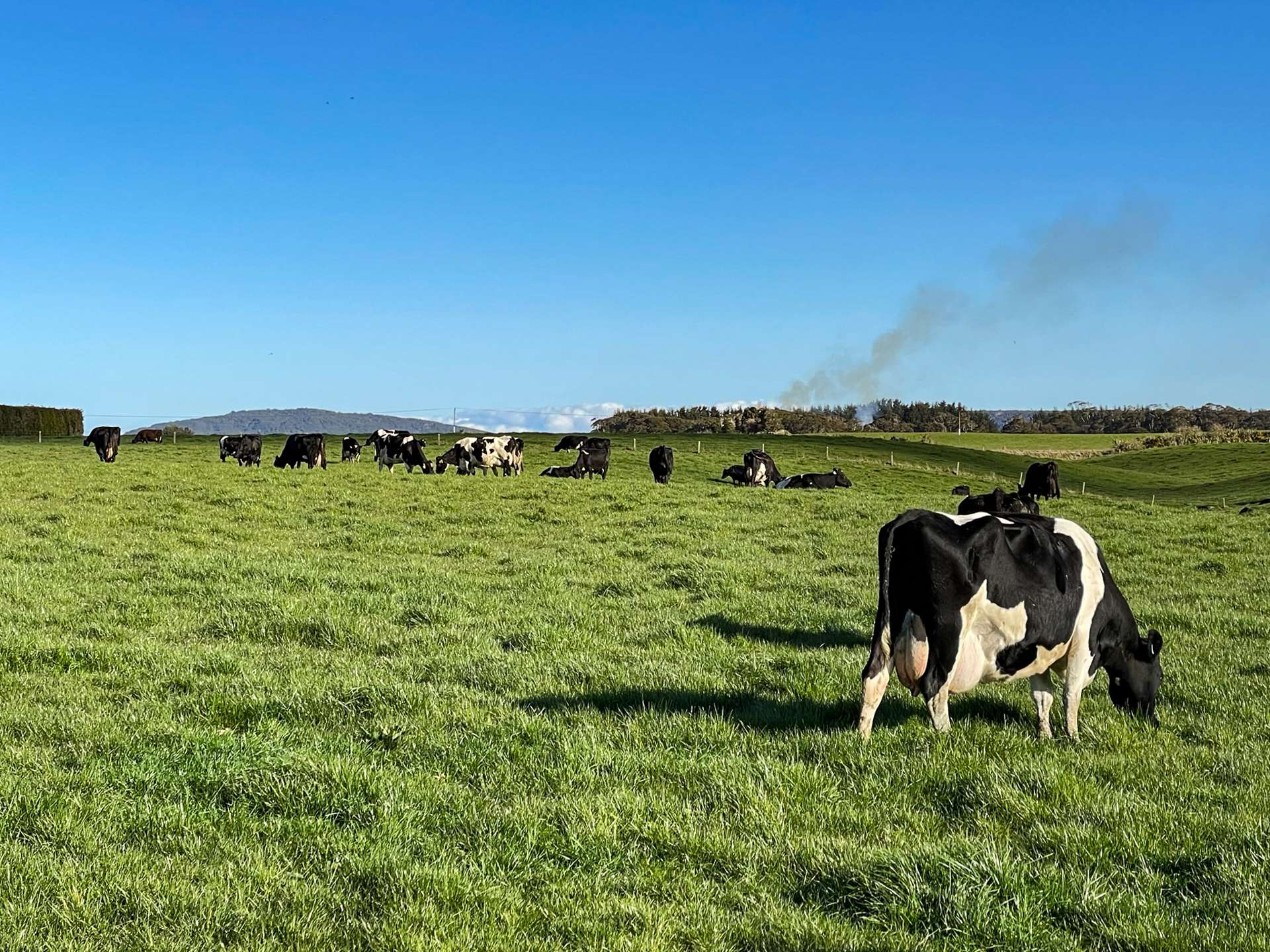 300 Centre Road Ermedale_0