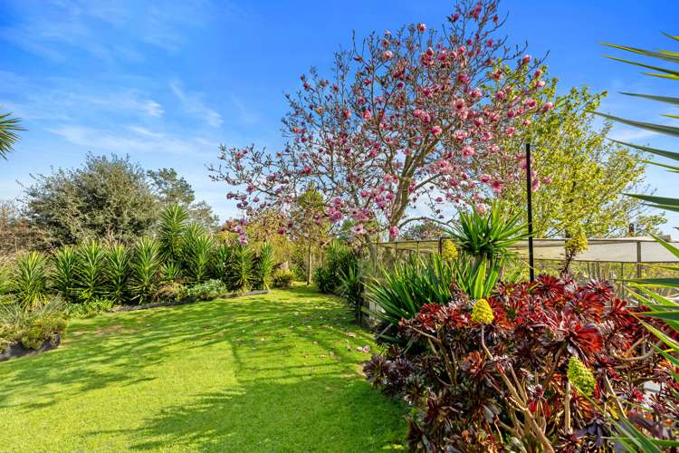 554 Rangiuru Road Te Puke_30