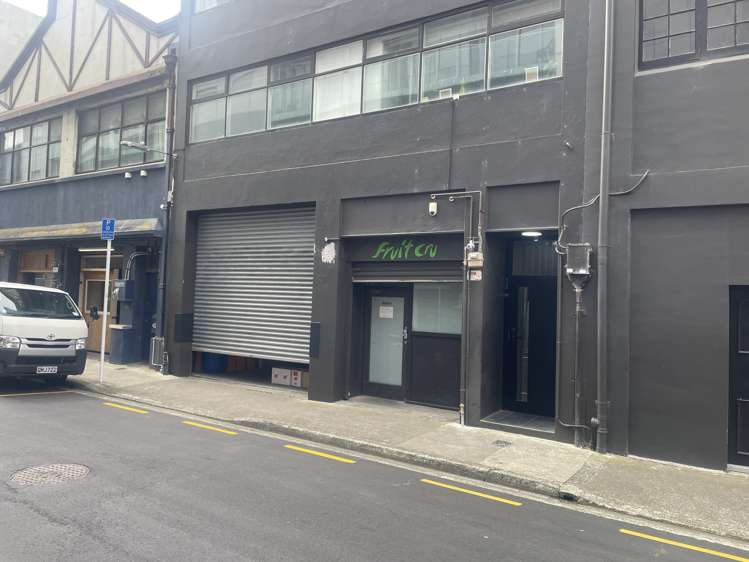 10 Holland Street Te Aro_1