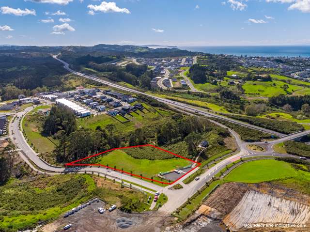 Tons of potential in Orewa