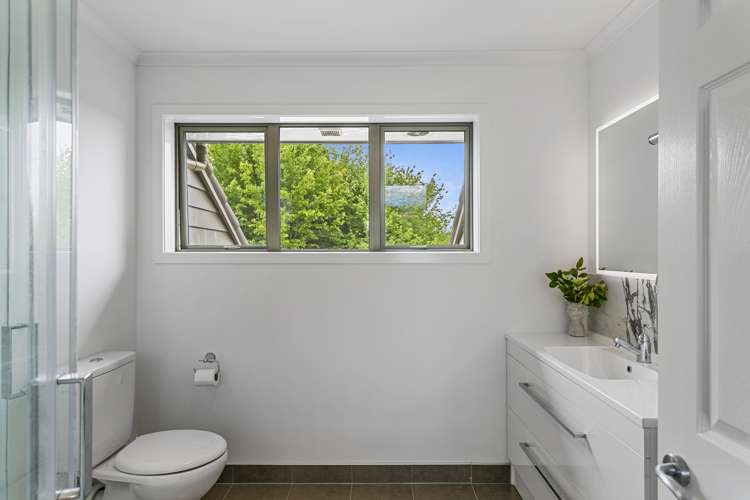 145 Palmer Mill Road Wairakei and Surrounds_20