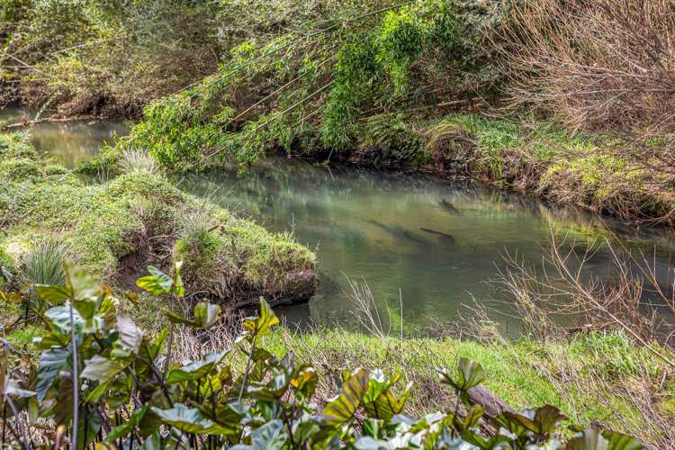 915 Fairburn Road Kaitaia_25