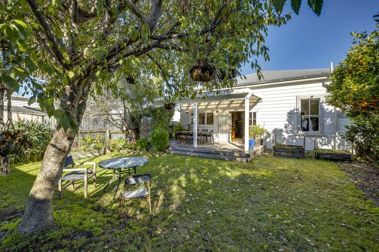 16 Owen Street Napier South_13