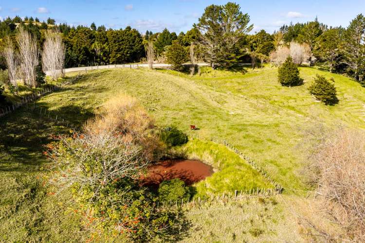 318 Franklin Road Paparoa_44
