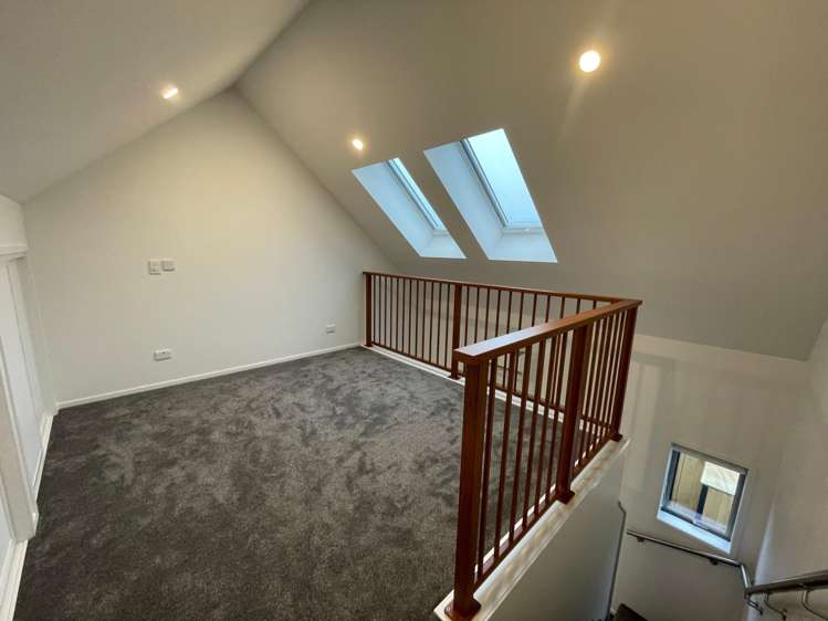  19 Winchester Street Merivale_5