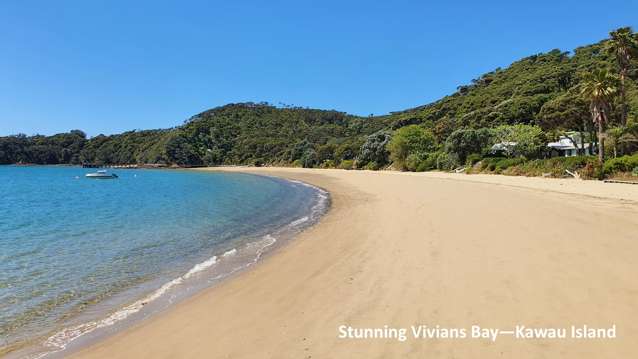 Lot 27 Vivian Bay Kawau Island_3