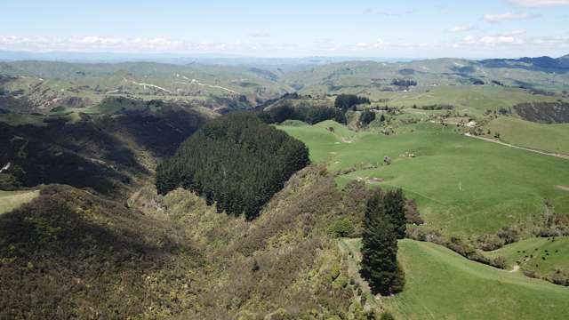 205 Kaweka Road Taihape and Surrounds_1