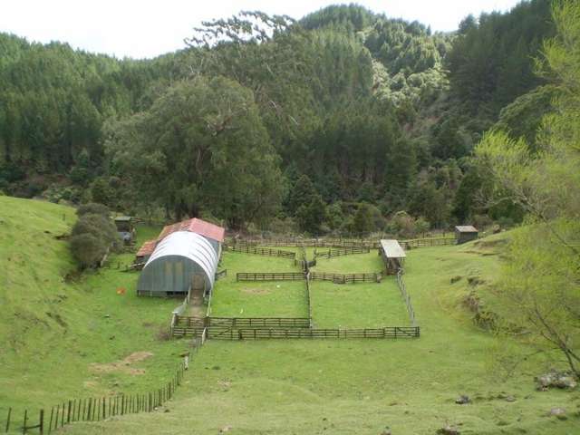 1926 Ongarue Stream Road Waimiha-Ongarue_1