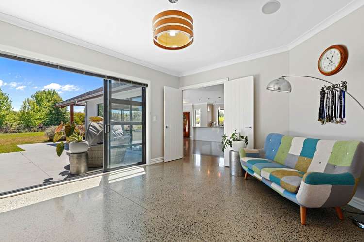 166J Postman Road Dairy Flat_20