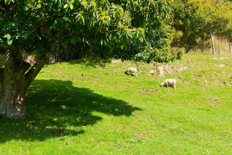 39A Waitane Road Kaikoura Surrounds_60