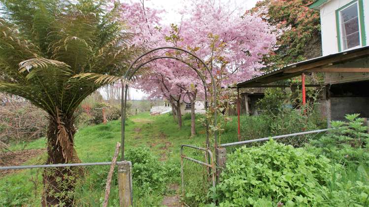 107 Dahya Lala Drive Kakahi_12