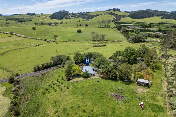 89 Purangi Road Purangi_26