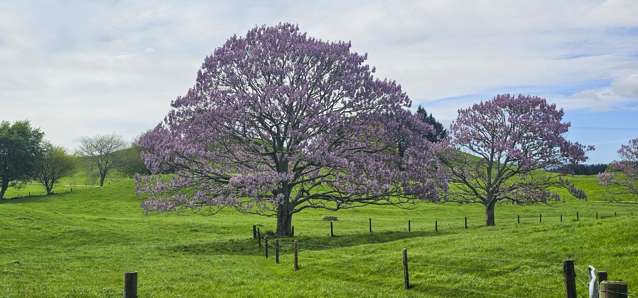 441 State Highway 38 Rerewhakaaitu_4