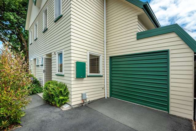 35 Austin Street Sydenham_4