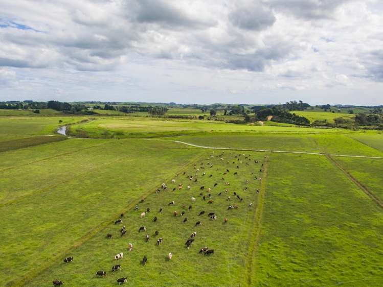 245 Opanake Road Dargaville Surrounds_21