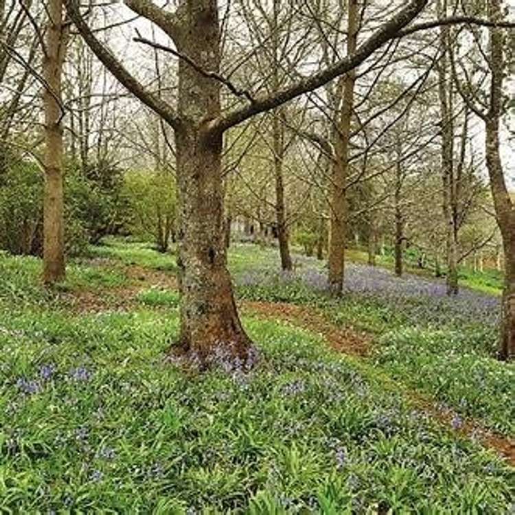 265 - 269 Kerikeri Inlet Road Kerikeri_7