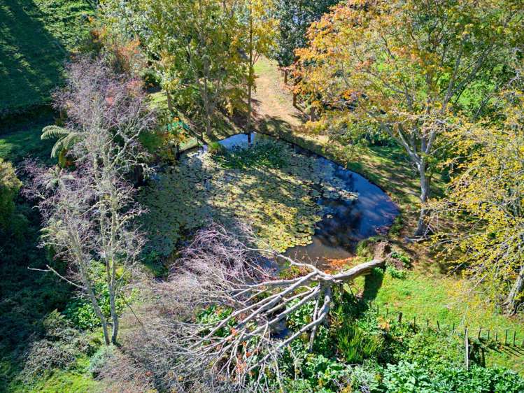 822 Motukawa Rd Inglewood_11