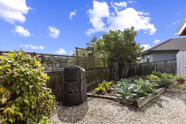 114d Colwill Road Massey_28