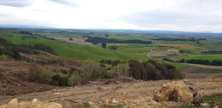Karoro Creek Road Kaka Point_2
